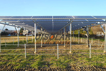 Photovoltaik + Landwirtschaft ergänzen sich und nutzen Sonnenkollektoren für den Obstanbau